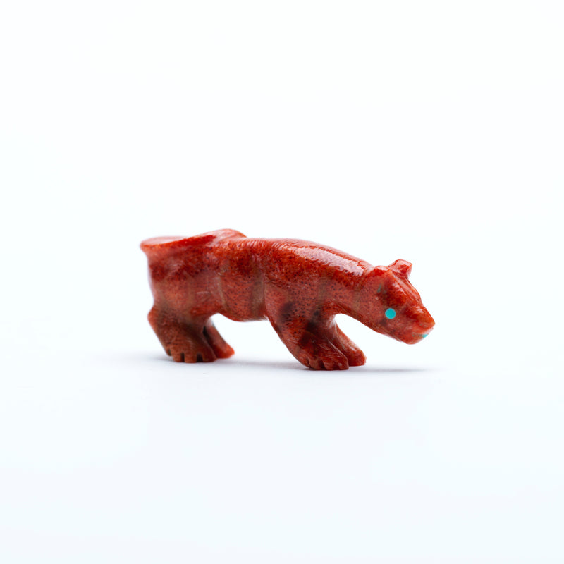 Andres Quandelacy (d): Apple Coral, Mountain Lion
