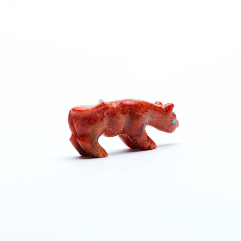 Andres Quandelacy (d): Apple Coral, Mountain Lion
