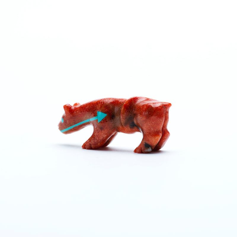 Andres Quandelacy (d): Apple Coral, Mountain Lion
