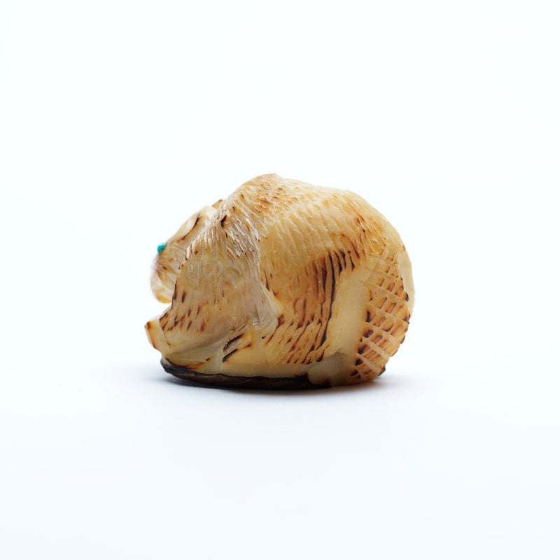 Alvert Lamy: Tagua Nut, Beaver