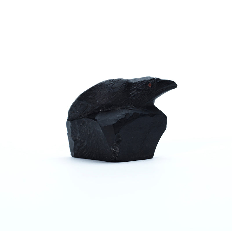 Rochelle Q. Najera: Jet, Raven