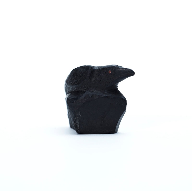 Rochelle Q. Najera: Jet, Raven