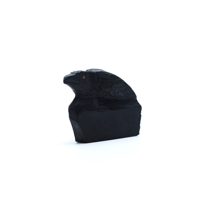 Rochelle Q. Najera: Jet, Raven