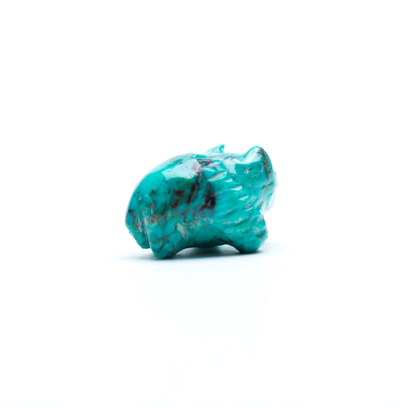 Unknown Artist: Turquoise, Wolf