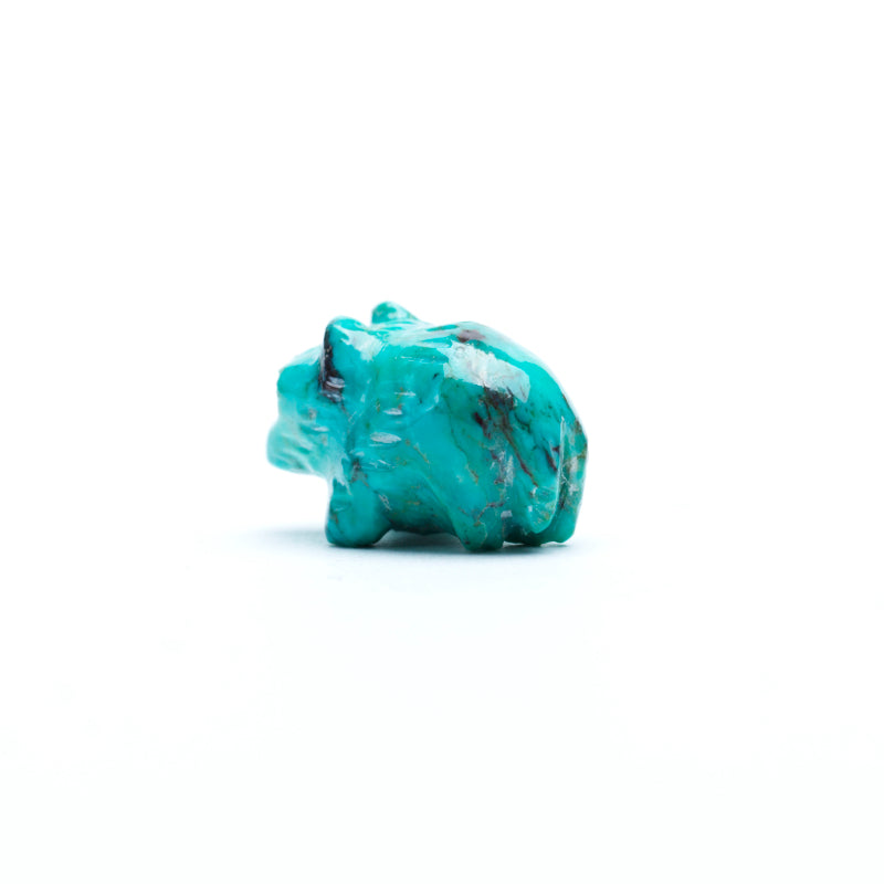 Unknown Artist: Turquoise, Wolf