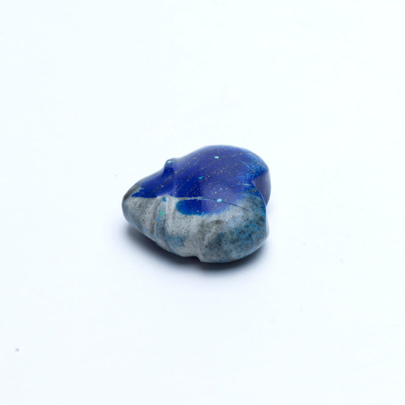 James Panteah: Lapis Lazuli, Frog