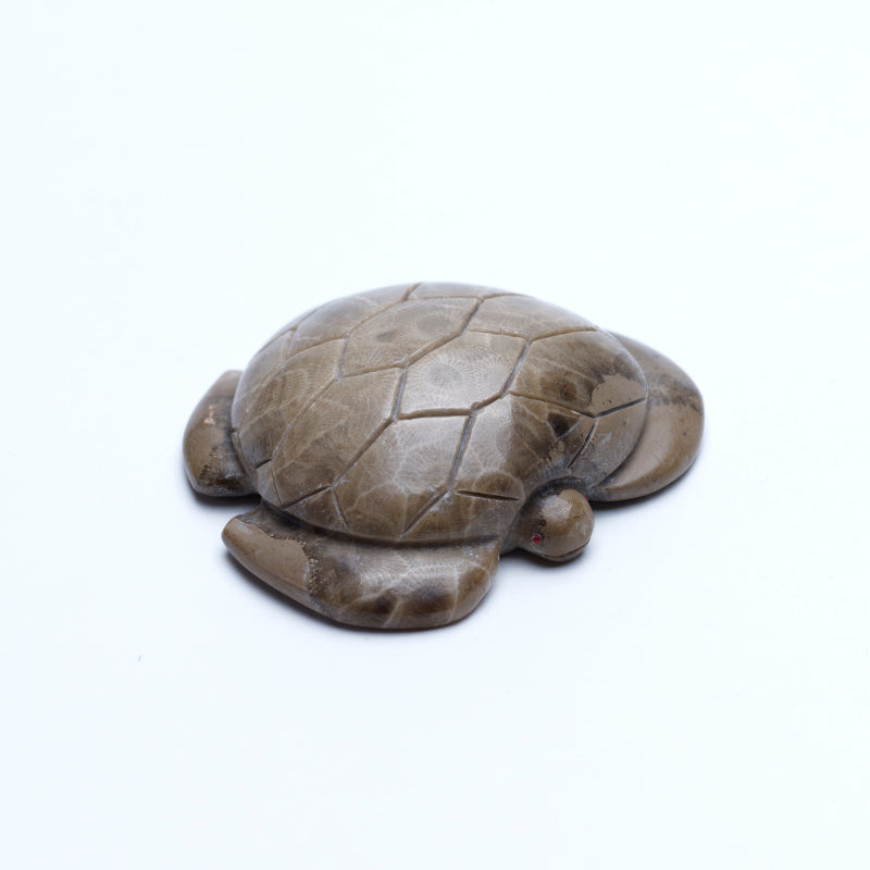 Brion Hattie: Petosky, Sea Turtle