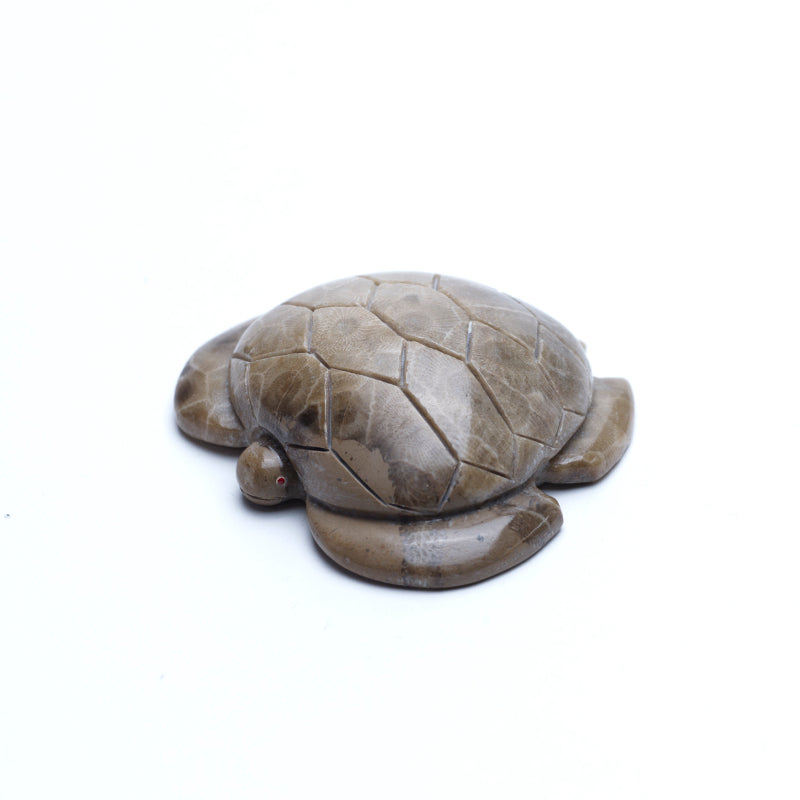 Brion Hattie: Petosky, Sea Turtle