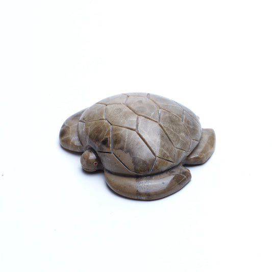 Brion Hattie: Petosky, Sea Turtle