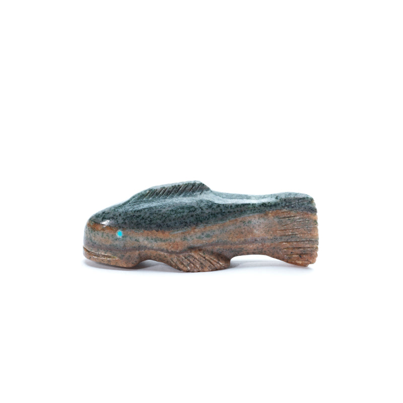 David Chavez: Arizona Serpentine, Fish