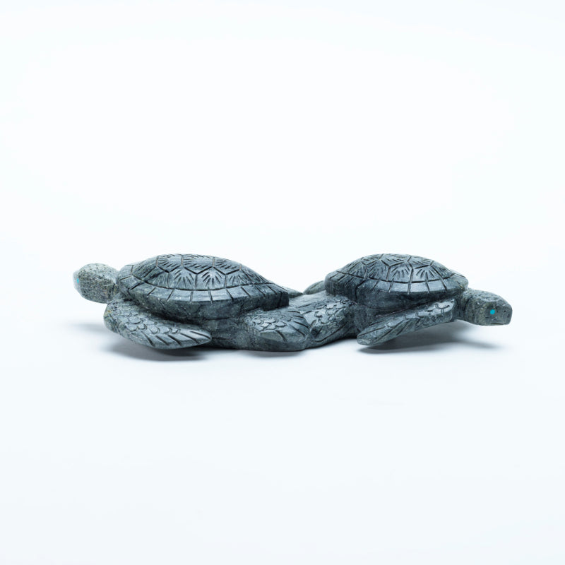 Vern Neito (d): Augite, Double Turtles