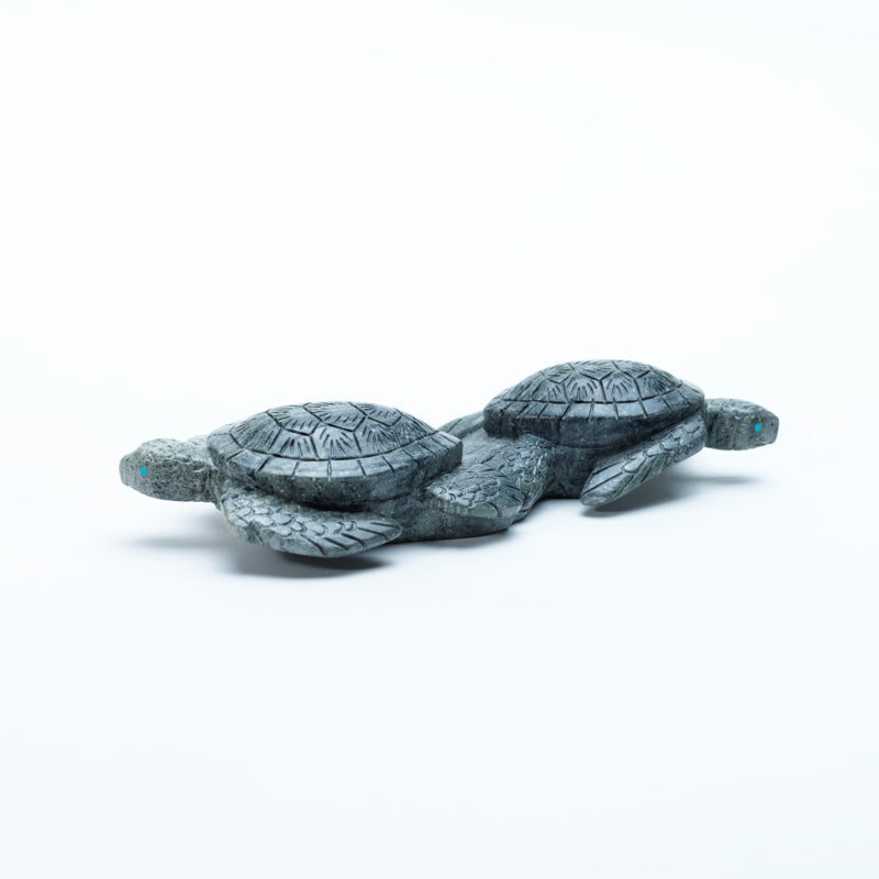 Vern Neito (d): Augite, Double Turtles