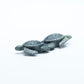Vern Neito (d): Augite, Double Turtles