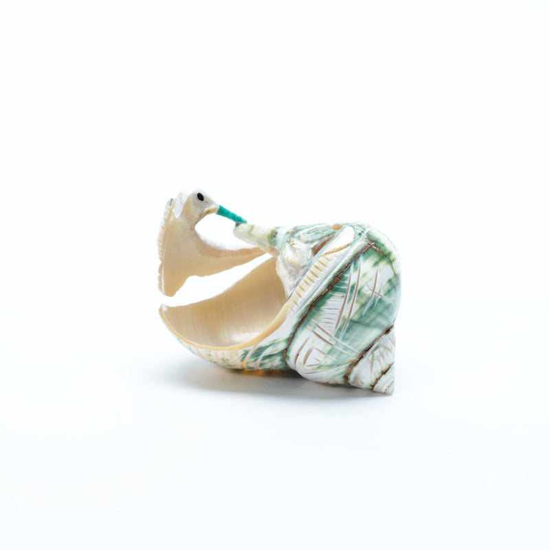 Unknown Artist: Green Snail Shell, Hummingbird