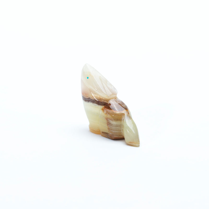 Terrance Tsethlikai (d): Onyx, Coyote