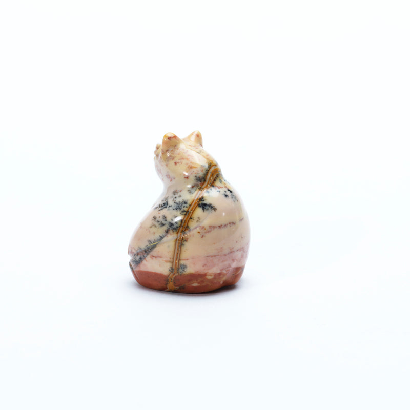 Vernon Lunasee: Dolomite, Bear