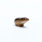 Abby Panteah: Banded Onyx, Bear