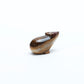 Abby Panteah: Banded Onyx, Bear