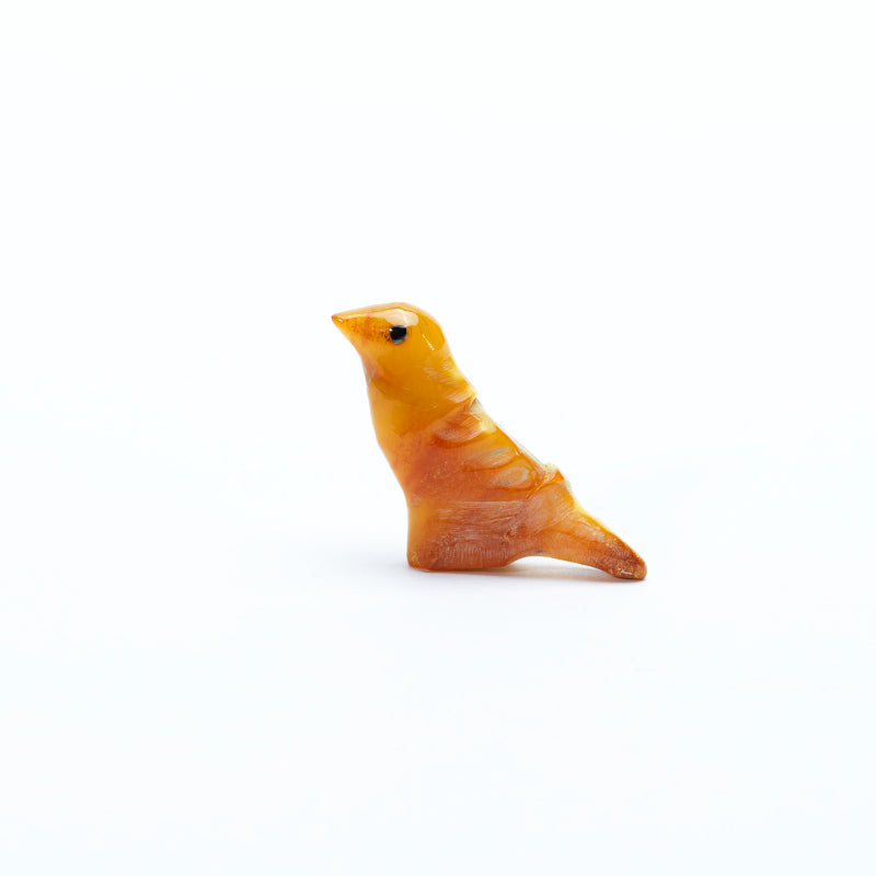 Sarah Leekya: Amber, Eagle