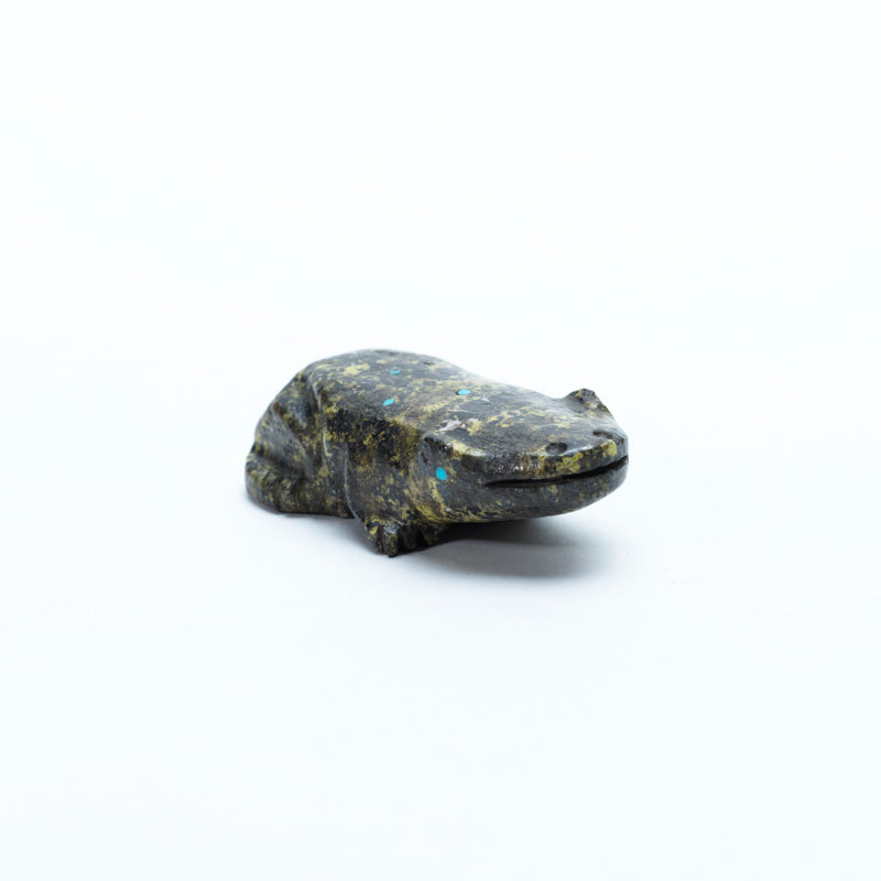 David Chavez: Serpentine, Frog