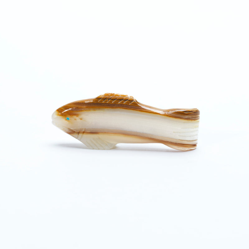 David Chavez: Baja Onyx, Fish