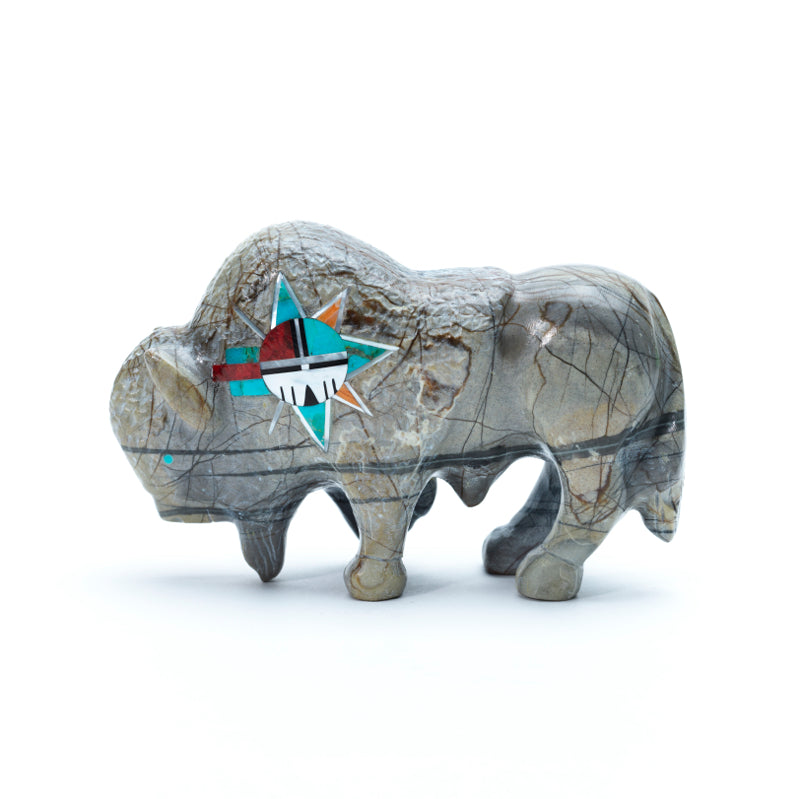 Andres Lementino: Picasso, Bison