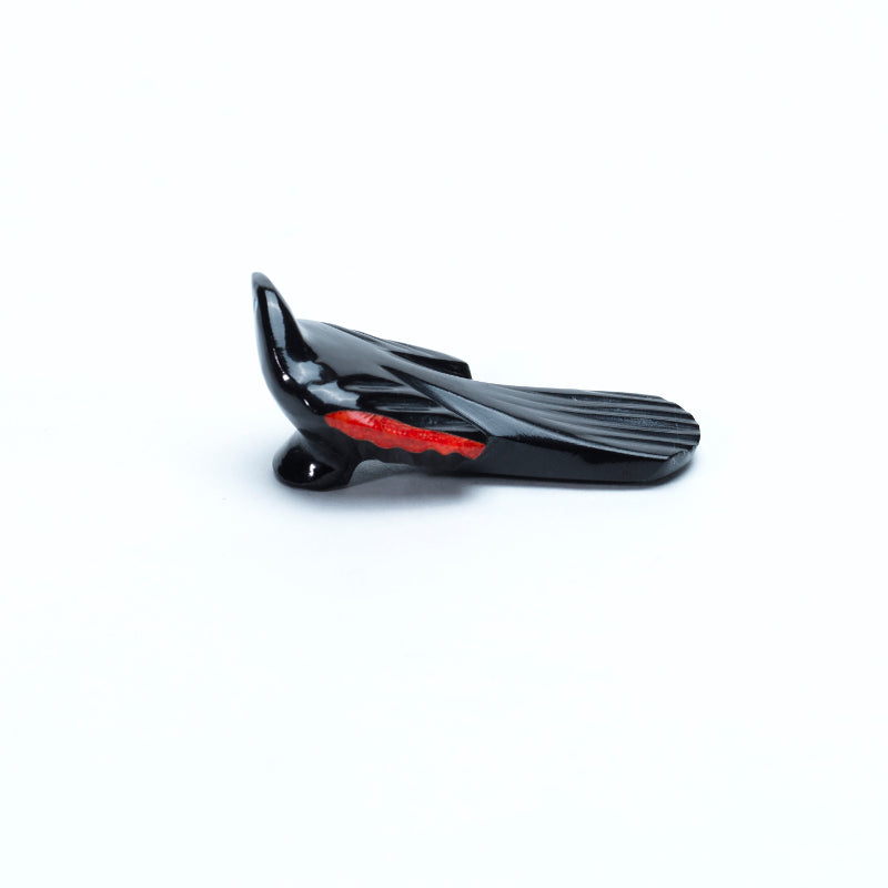 Calvert Bowannie: Black Marble Coral Wings, Magpie