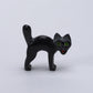 Cody Nastacio: Black Marble, Cat