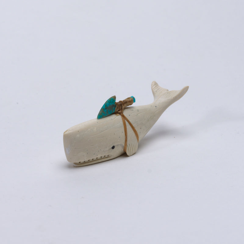 Eli Cheama: Fishrock, Whale