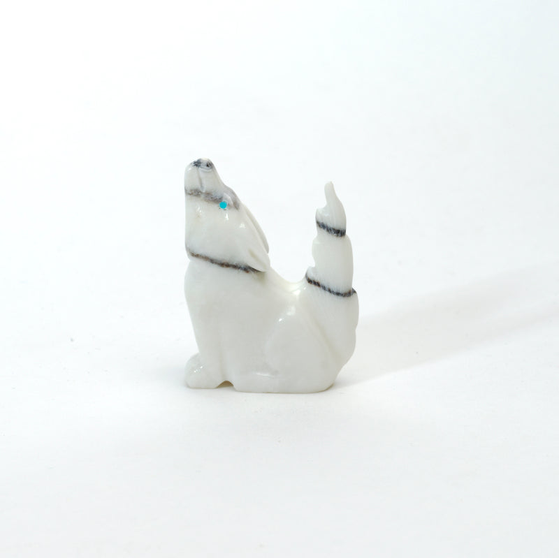 Andres Lementino: Howlite, Coyote