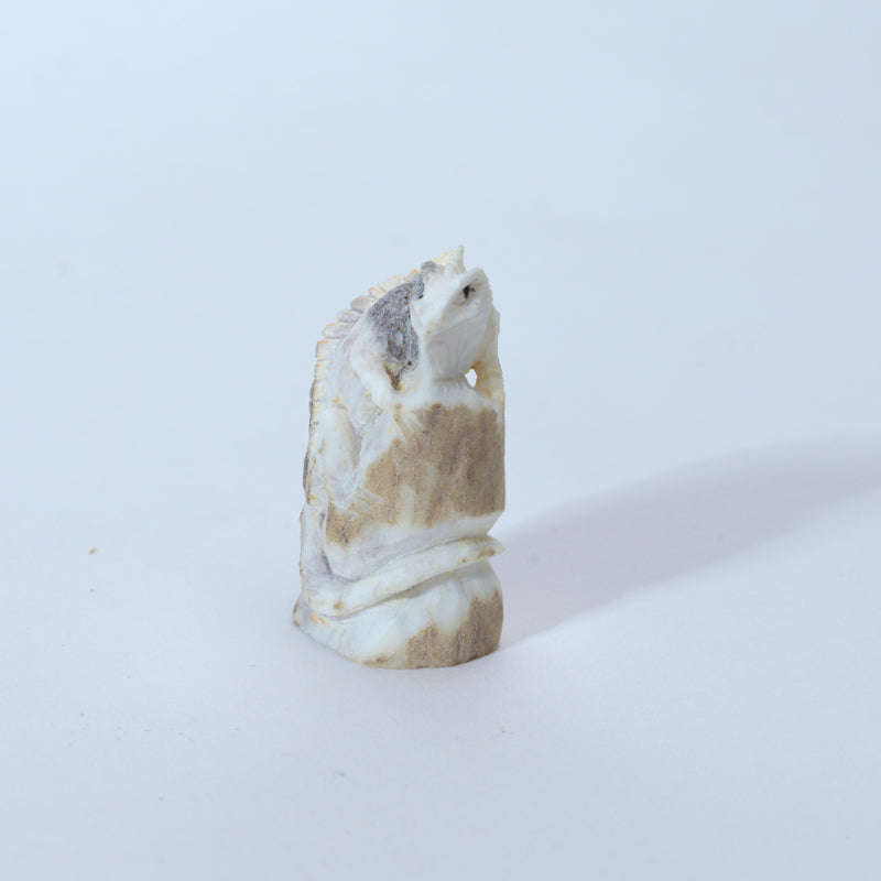 Lewis Malie: Antler, Iguana