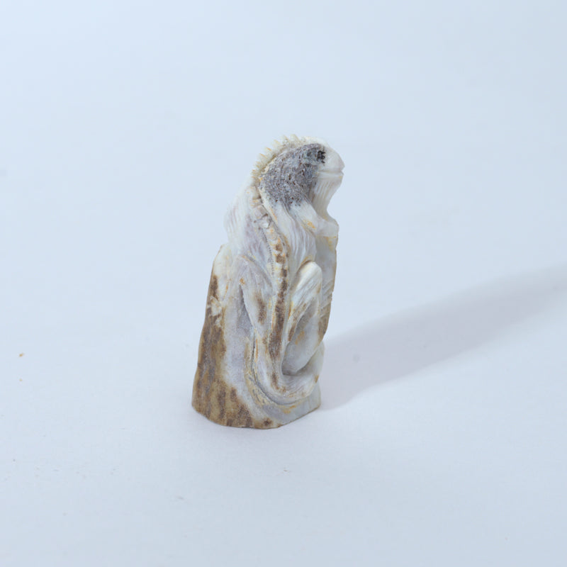 Lewis Malie: Antler, Iguana