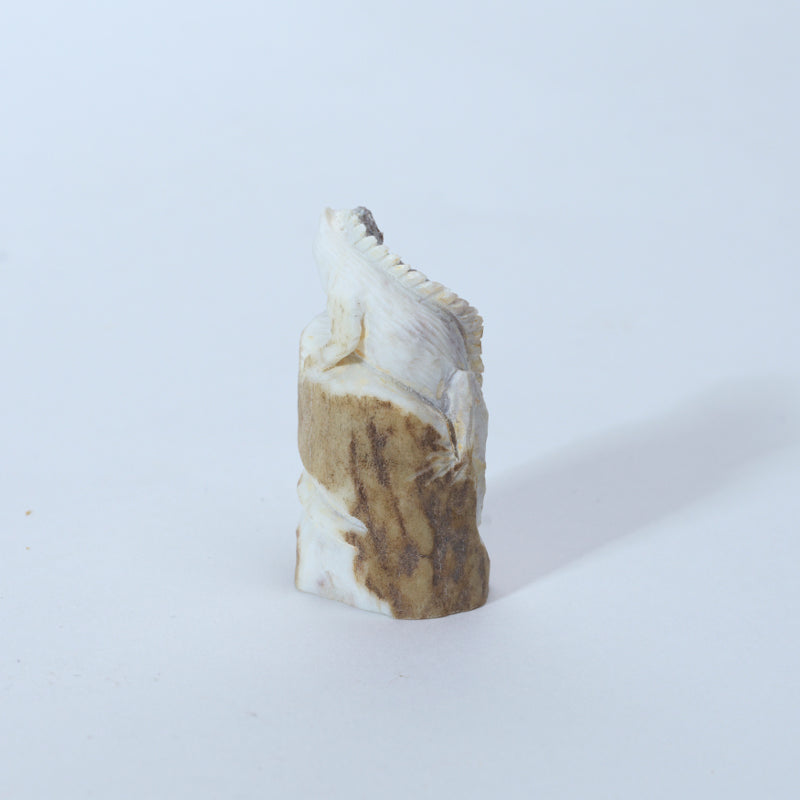 Lewis Malie: Antler, Iguana