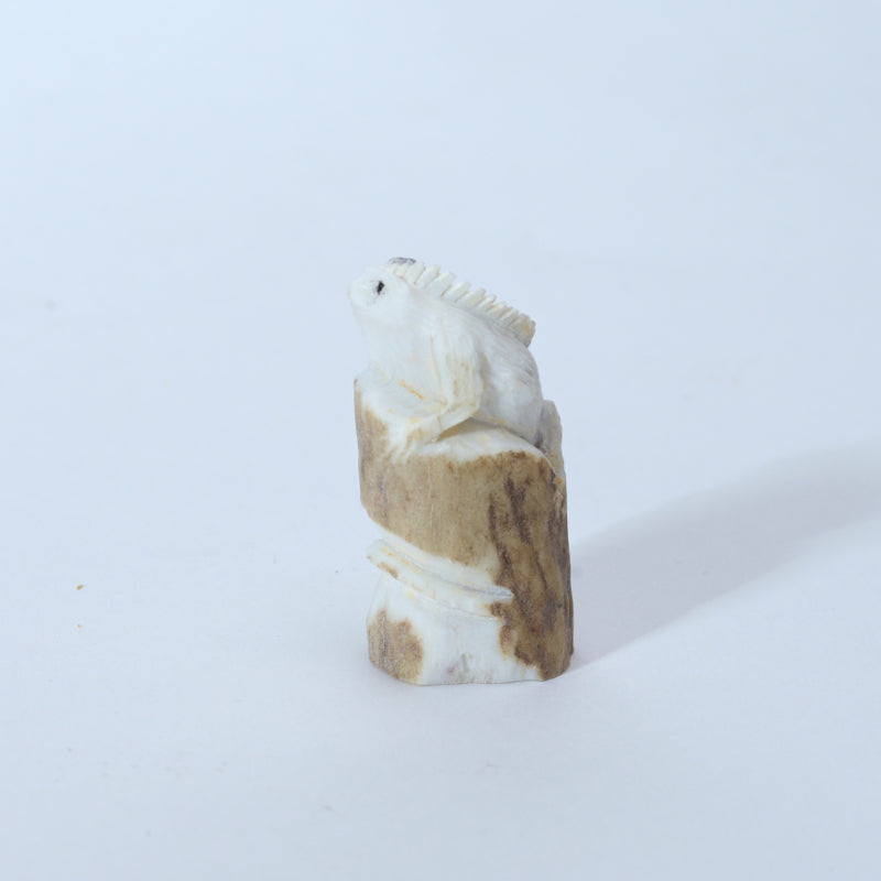 Lewis Malie: Antler, Iguana