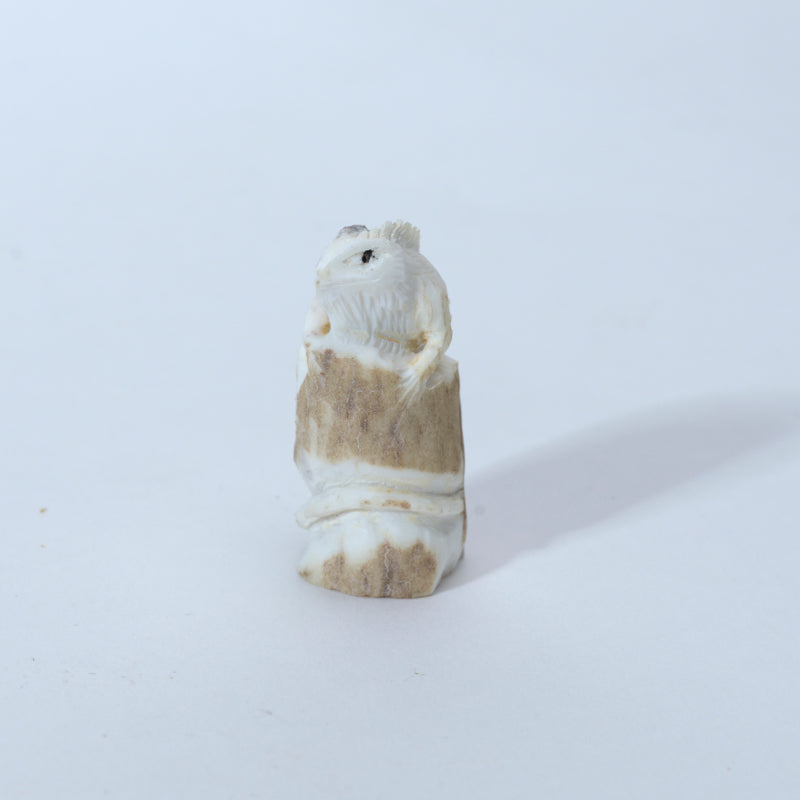 Lewis Malie: Antler, Iguana