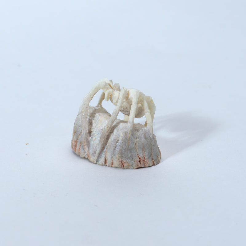 Lewis Malie: Antler, Spider