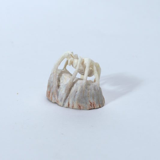 Lewis Malie: Antler, Spider