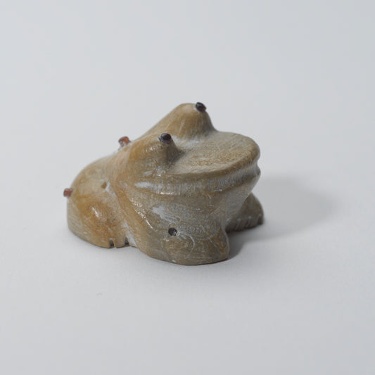 Hayes Leekya: Zuni Stone, Old Frog