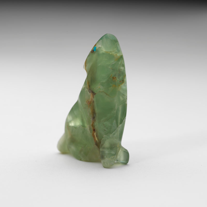 Delvin Leekya: Fluorite, Howling Coyote