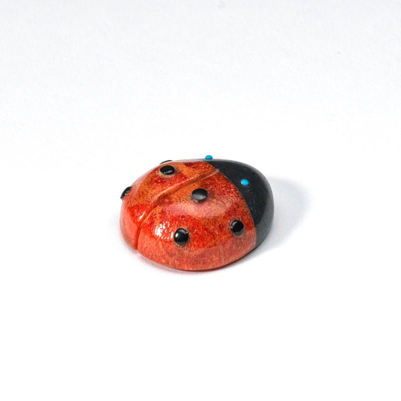 Georgette Quam:  Apple coral, Ladybug