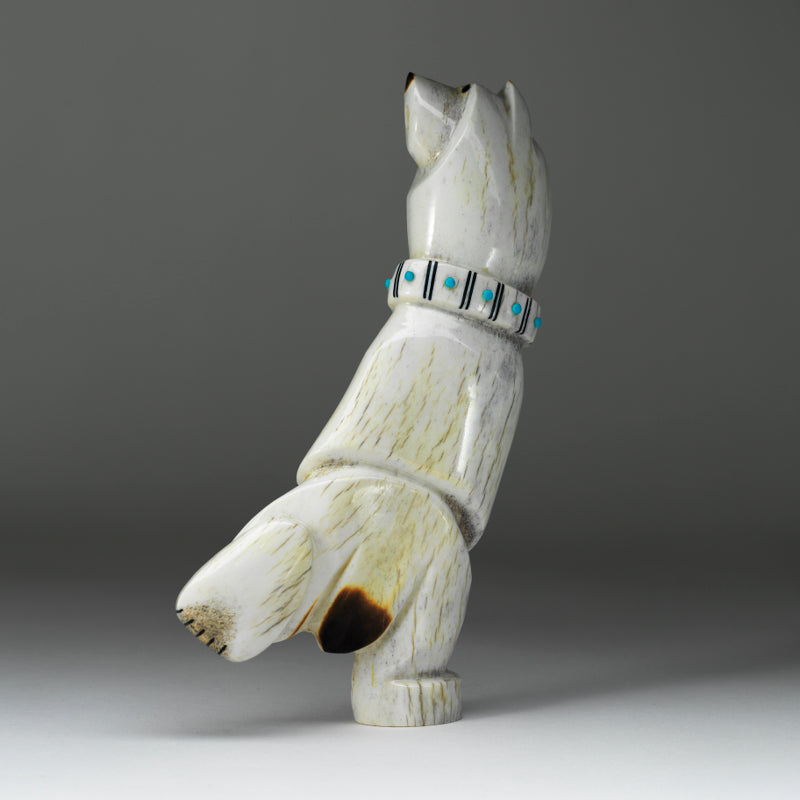 Claudia Peina: Elk Antler, Singing & Dancing Bear