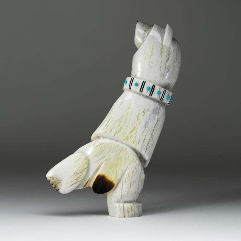 Claudia Peina: Elk Antler, Singing & Dancing Bear