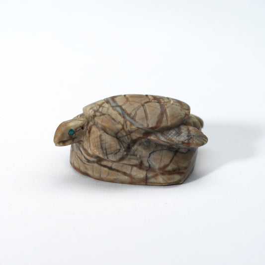 Michael Coble: Picasso Marble, Sea Turtle