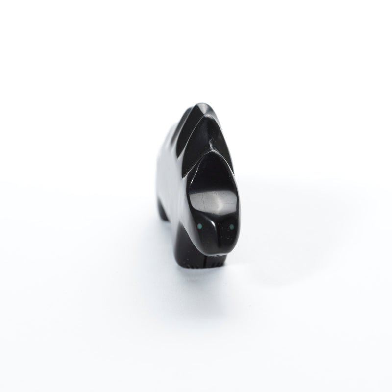 Herbert Halate: Jet with Turquoise Eyes, Stegosaurus Dinosaur