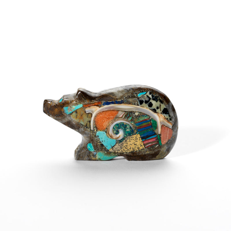 Jayne Quam: Ammonite, Mosaic Bear