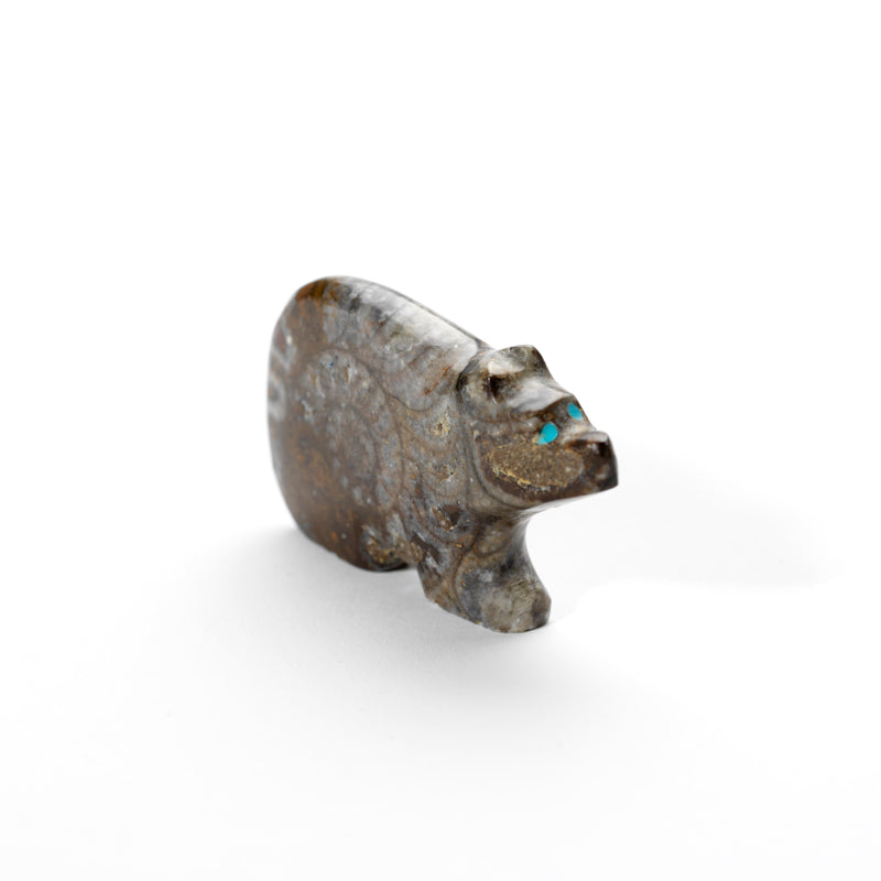 Jayne Quam: Ammonite, Mosaic Bear