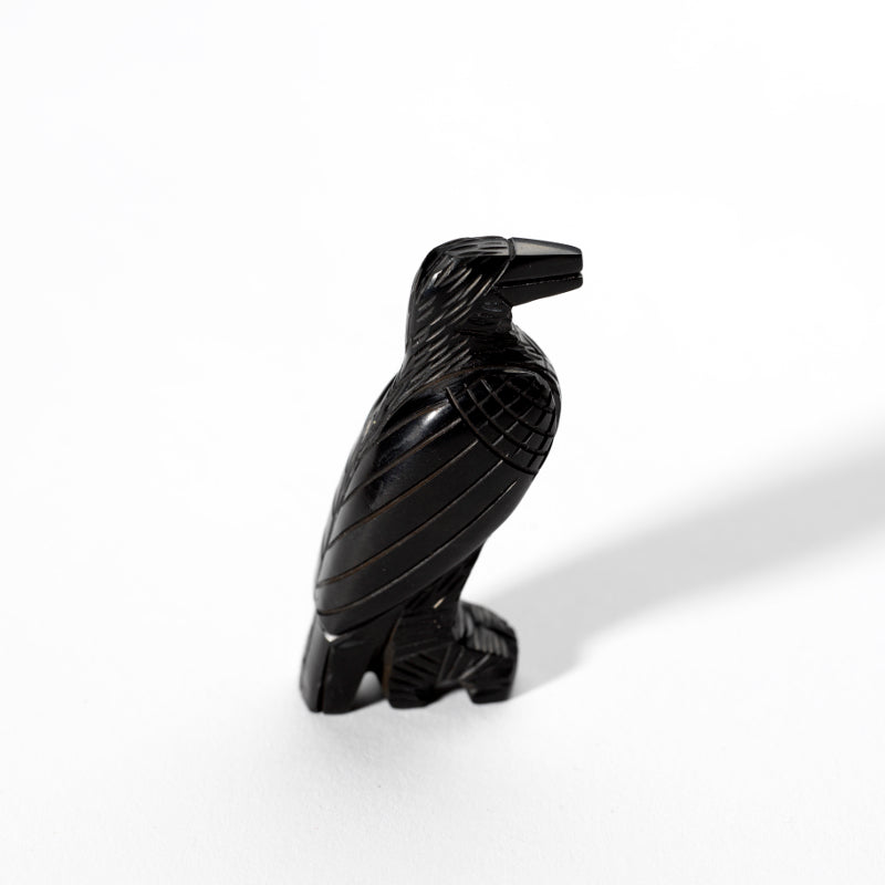 Fitz Kiyite & Marlo Booqua: Black Jet, Raven