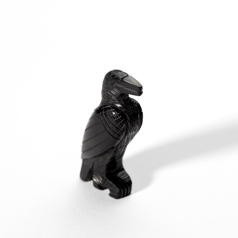 Fitz Kiyite & Marlo Booqua: Black Jet, Raven