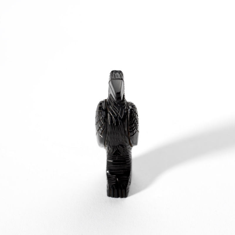 Fitz Kiyite & Marlo Booqua: Black Jet, Raven