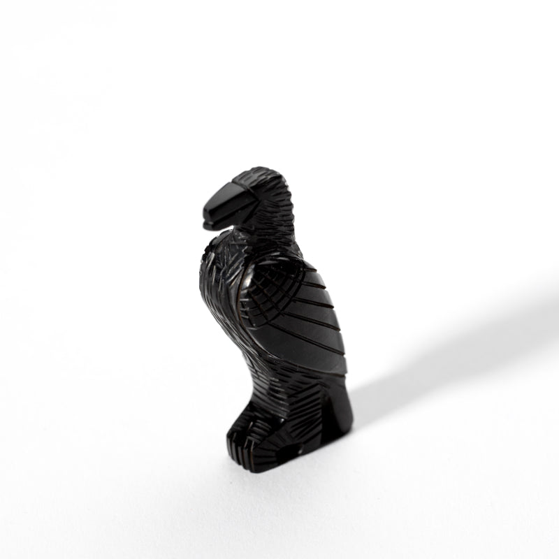 Fitz Kiyite & Marlo Booqua: Black Jet, Raven